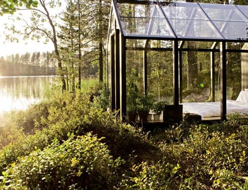 10. Dezember *20.04. Uhr*Im Glashaus mit Charlotte Kroll Gast: Rita Weychert Thema: Augenblicke